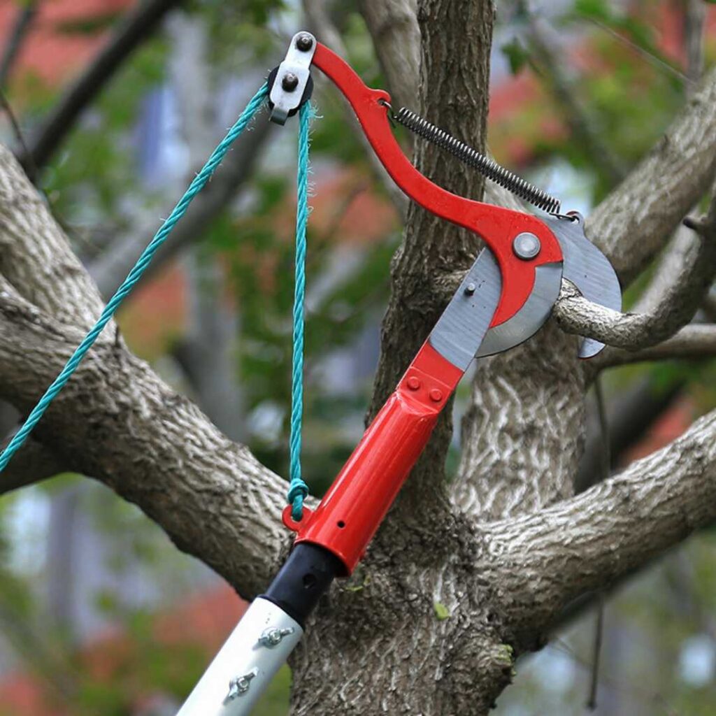 2 Tree Branches Cutter